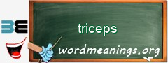 WordMeaning blackboard for triceps